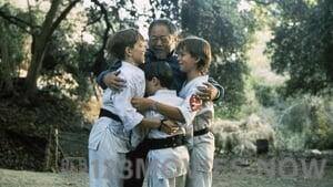 3 Ninjas