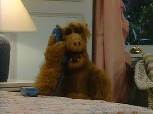 ALF Season 1 Episode 23