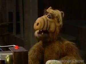 ALF Season 1 Episode 9