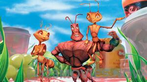 Antz