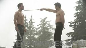 Arrow Season 3 Episode 9