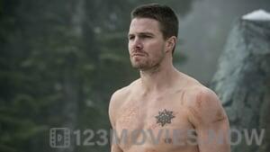 Arrow Season 3 Episode 9