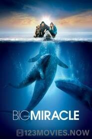 Big Miracle