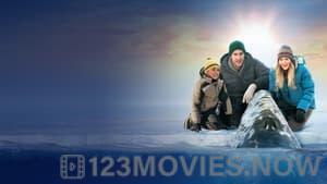 Big Miracle