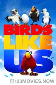 Birds Like Us