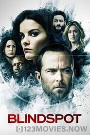 Blindspot Season 1 Episode 8