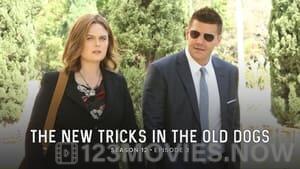 Bones Season 12 Episode 3