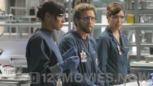 Bones Season 2 Episode 5