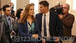 Bones Season 9 Episode 24