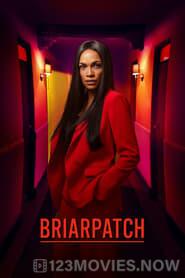 Briarpatch Season 1 Episode 9