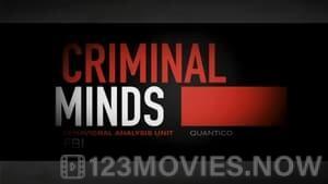 Criminal Minds Season 3 Episode 18