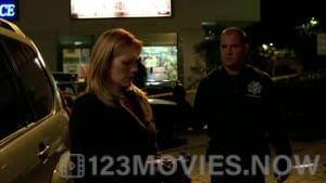 CSI: Crime Scene Investigation Season 7 Episode 8