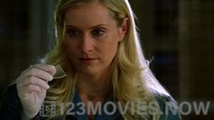 CSI: Miami Season 2 Episode 12