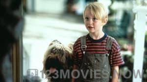 Dennis the Menace