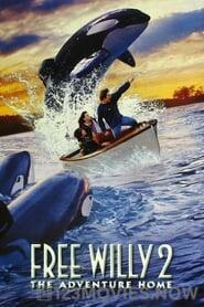 Free Willy 2: The Adventure Home