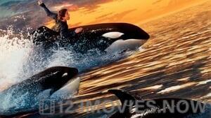 Free Willy 2: The Adventure Home