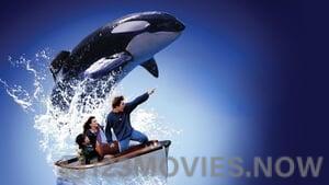 Free Willy 2: The Adventure Home