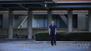 Grey’s Anatomy Season 10 Episode 24