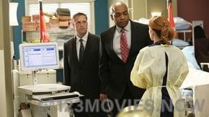 Grey’s Anatomy Season 10 Episode 24