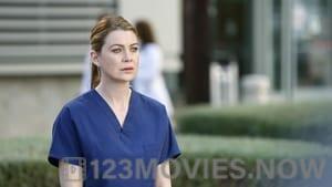 Grey’s Anatomy Season 10 Episode 24