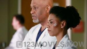 Grey’s Anatomy Season 11 Episode 16