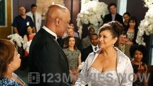 Grey’s Anatomy Season 11 Episode 24