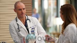 Grey’s Anatomy Season 16 Episode 14