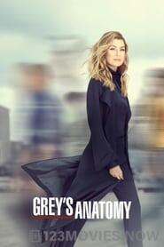 Grey’s Anatomy Season 17 Episode 14