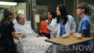 Grey’s Anatomy Season 7 Episode 14