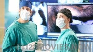 Heartbeat Season 1 Episode 9