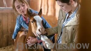 Heartland Season 10 Episode 2