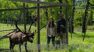 Heartland Season 10 Episode 3