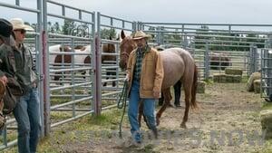 Heartland Season 10 Episode 3