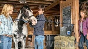 Heartland Season 10 Episode 4