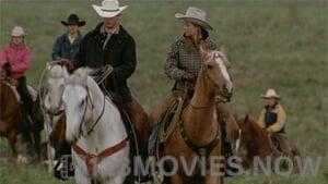 Heartland Season 2 Episode 4