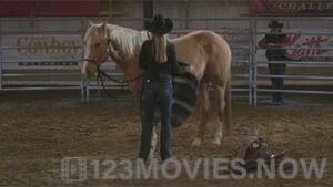 Heartland Season 3 Episode 17