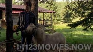 Heartland Season 5 Episode 8