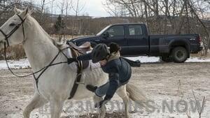 Heartland Season 6 Episode 17