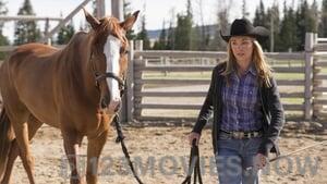 Heartland Season 7 Episode 1