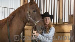 Heartland Season 7 Episode 12