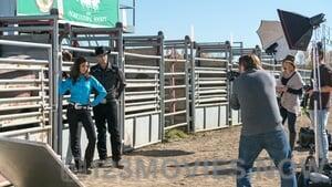 Heartland Season 9 Episode 12