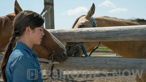 Heartland Season 9 Episode 8