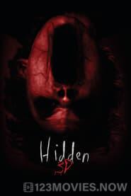 Hidden 3D