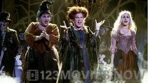 Hocus Pocus