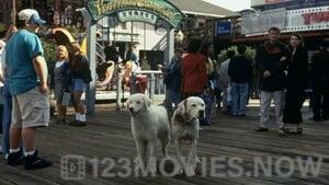 Homeward Bound II: Lost in San Francisco