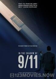 In the Shadow of 9/11