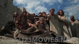 Life of Brian