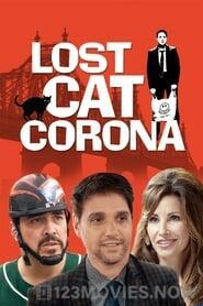 Lost Cat Corona