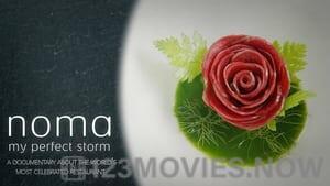 Noma My Perfect Storm