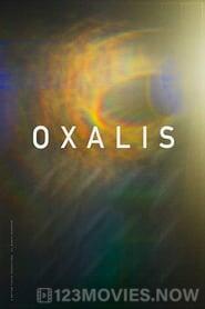 Oxalis